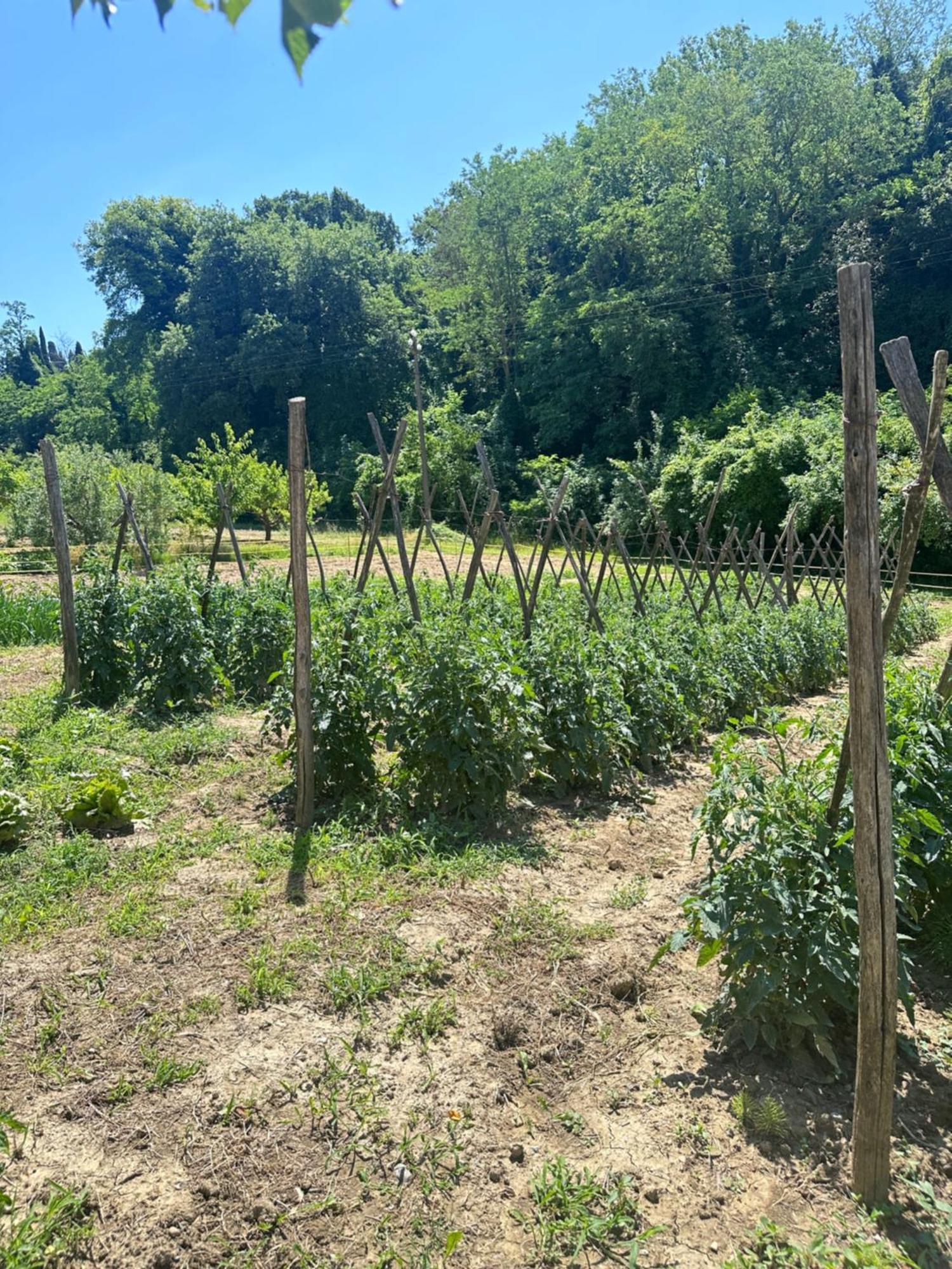 Agriturismo San Biagio Villa Montepulciano Stazione Екстериор снимка