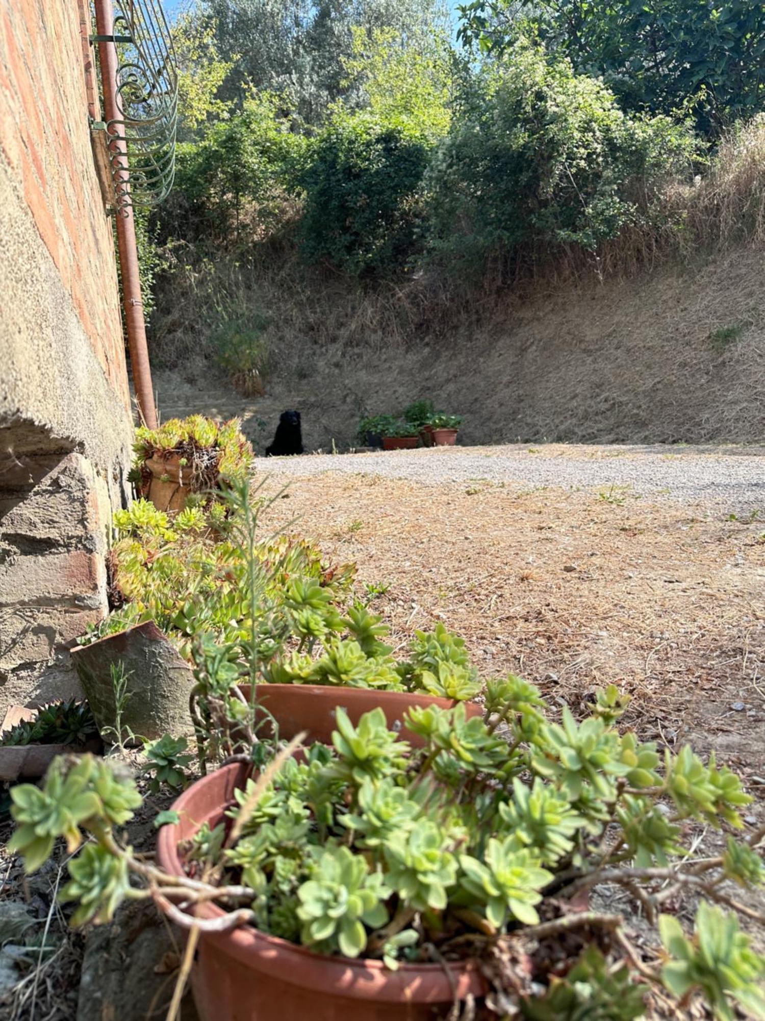 Agriturismo San Biagio Villa Montepulciano Stazione Екстериор снимка