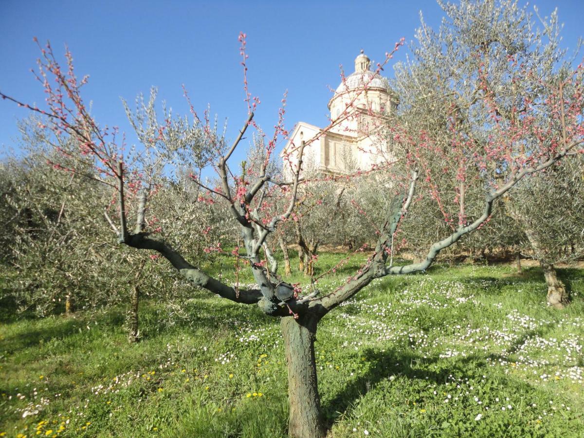 Agriturismo San Biagio Villa Montepulciano Stazione Екстериор снимка